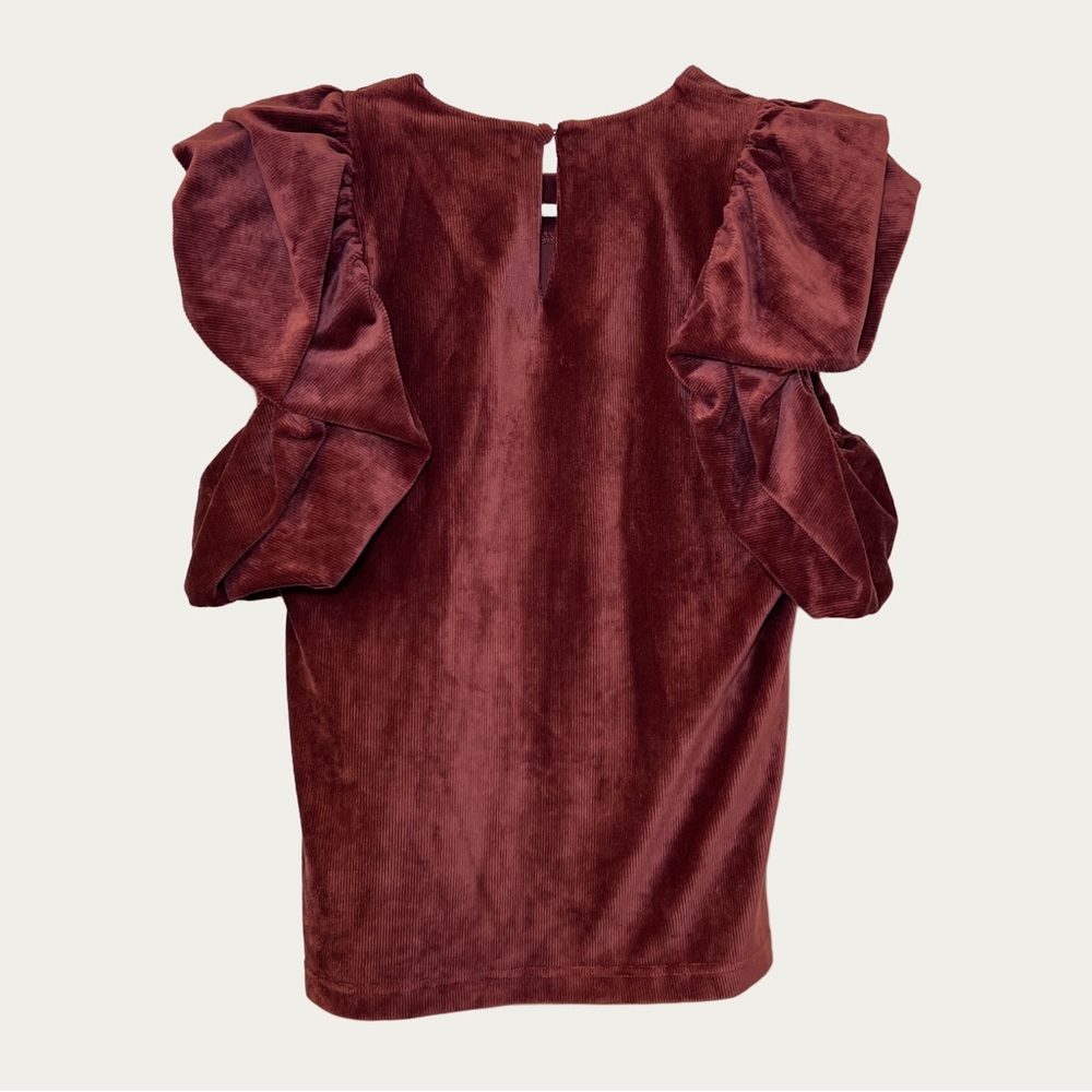 THML Velvet Blouse with Dramatic Ruffle Sleeves - Deep Rust Women’s‎  XS - Picture 2 of 11